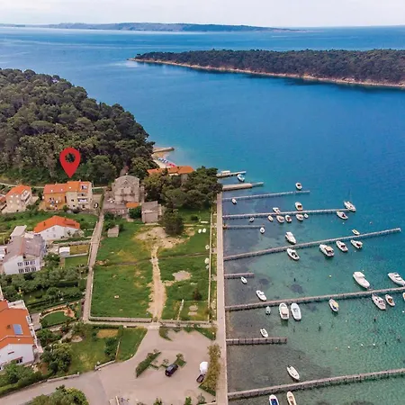 Amazing In With Wifi Palit