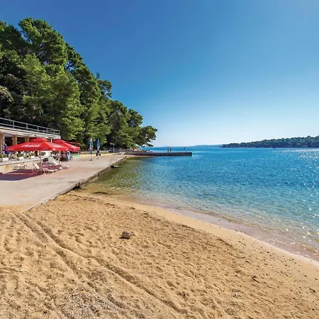 Amazing In With Wifi 公寓 Palit