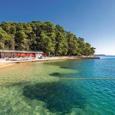 Amazing In With Wifi